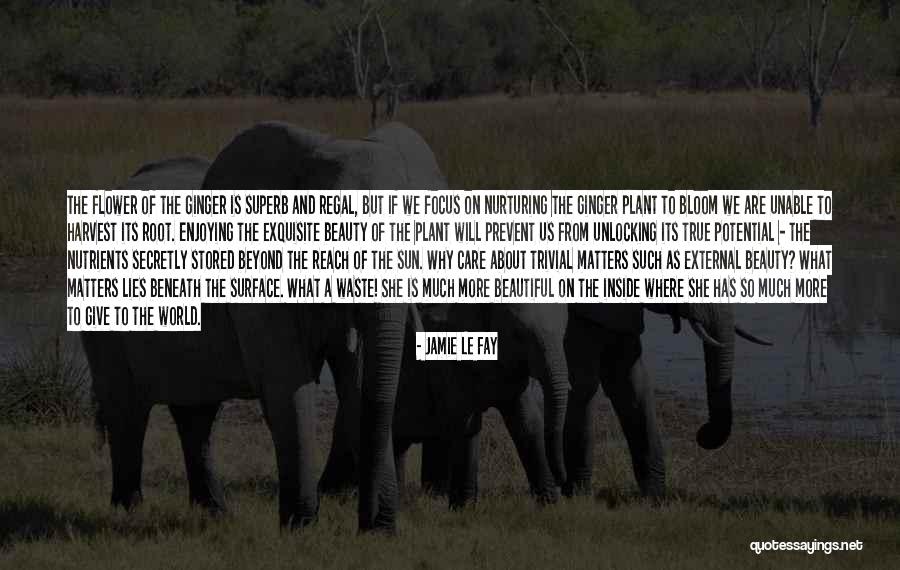 Positive Body Quotes By Jamie Le Fay Positive Body Quotes By Jamie Le Fay