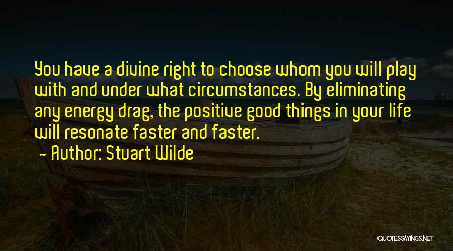 Positive Energy Quotes By Stuart Wilde