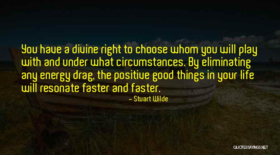 Positive Energy Quotes By Stuart Wilde