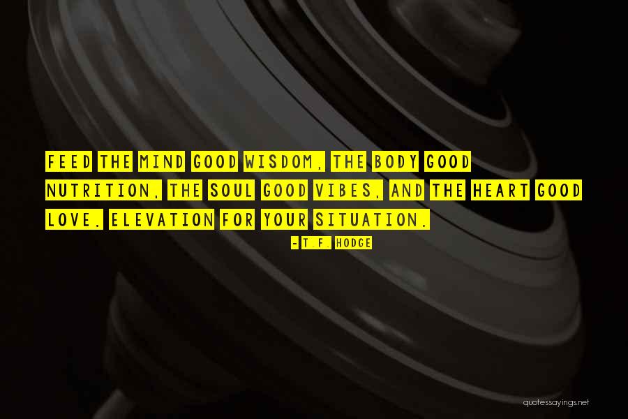 Positive Energy Vibes Quotes By T.F. Hodge Positive Energy Vibes Quotes By T.F. Hodge