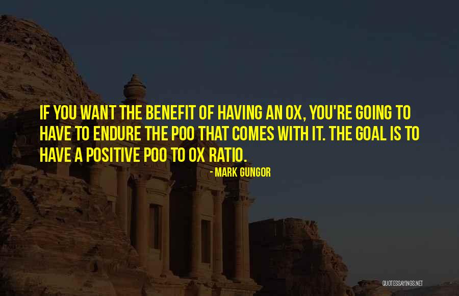 Positive Goal Quotes By Mark Gungor Positive Goal Quotes By Mark Gungor