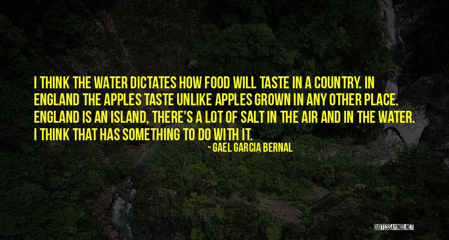 Positive Manifest Destiny Quotes By Gael Garcia Bernal Positive Manifest Destiny Quotes By Gael Garcia Bernal