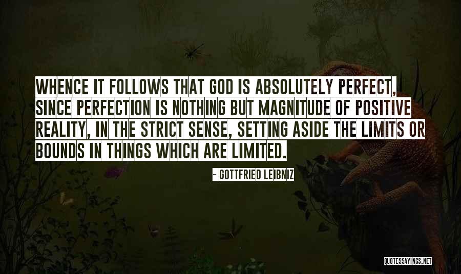 Positive Perfection Quotes By Gottfried Leibniz Positive Perfection Quotes By Gottfried Leibniz