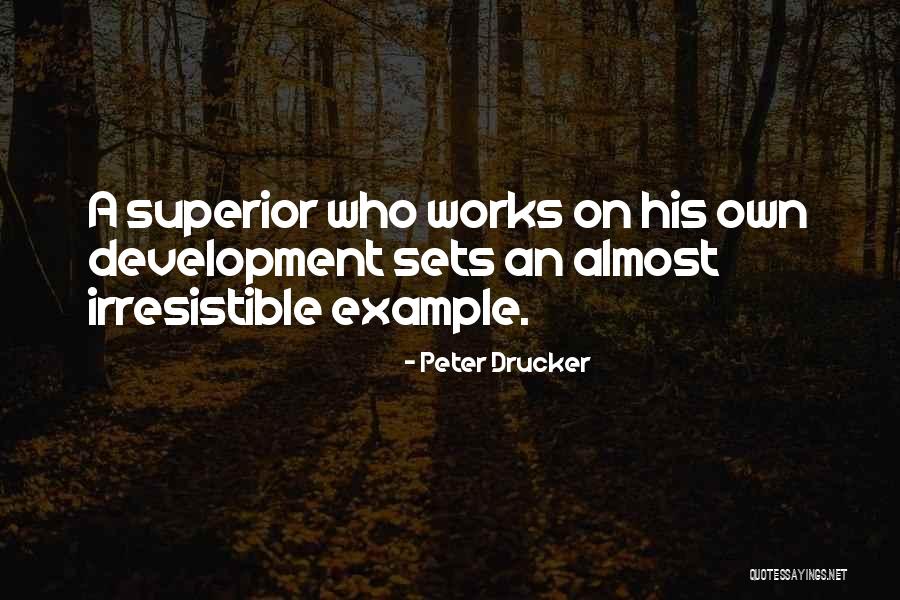 Positive Postpartum Quotes By Peter Drucker