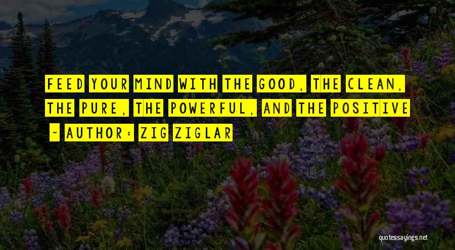 Positive Powerful Quotes By Zig Ziglar