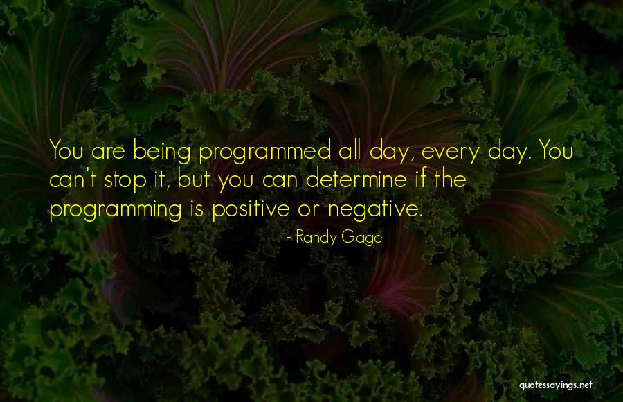 Positive Programming Quotes By Randy Gage Positive Programming Quotes By Randy Gage