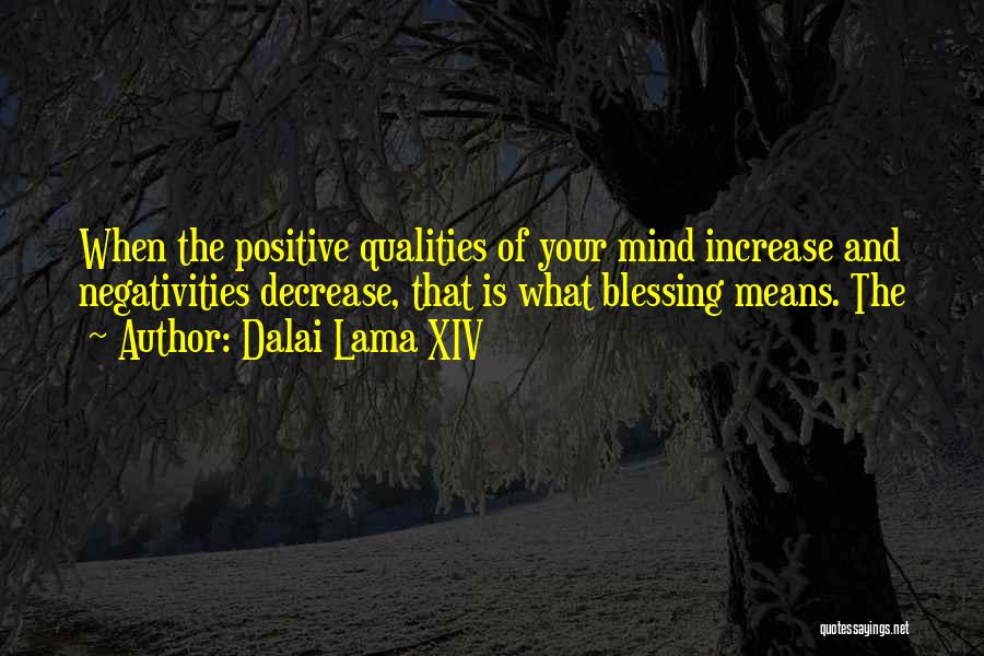 Positive Qualities Quotes By Dalai Lama XIV