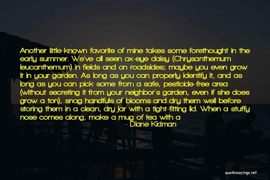 Positive Rain Quotes By Diane Kidman Positive Rain Quotes By Diane Kidman