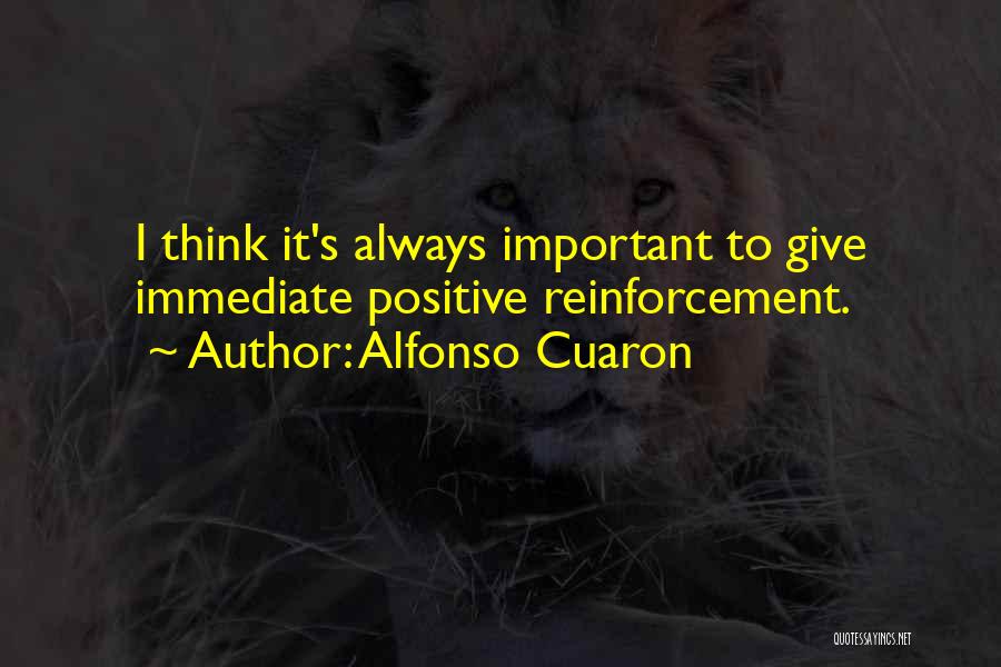 Positive Reinforcement Quotes By Alfonso Cuaron