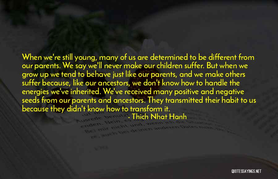 Positive Seeds Quotes By Thich Nhat Hanh Positive Seeds Quotes By Thich Nhat Hanh