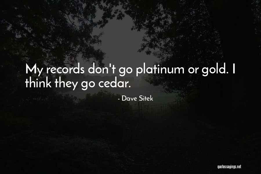 Positive Step Family Quotes By Dave Sitek Positive Step Family Quotes By Dave Sitek