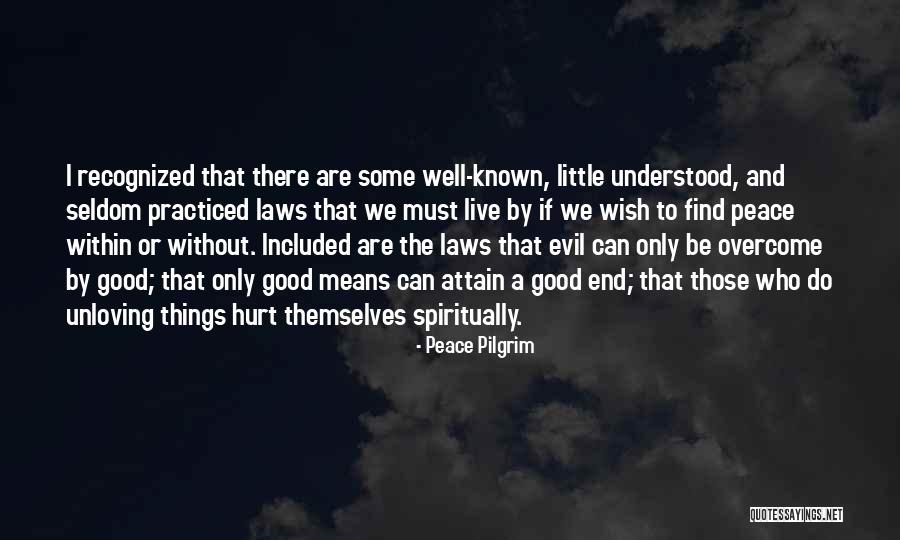 Positive Taxation Quotes By Peace Pilgrim Positive Taxation Quotes By Peace Pilgrim