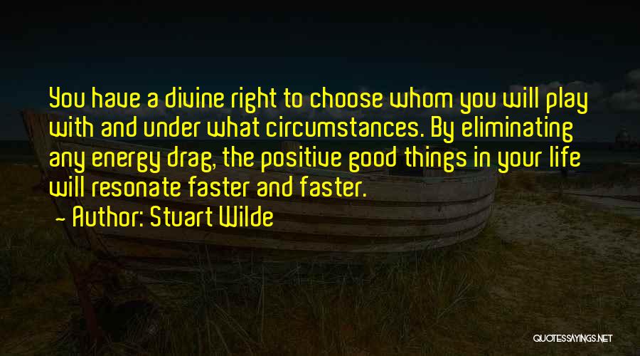 Positive Things In Life Quotes By Stuart Wilde