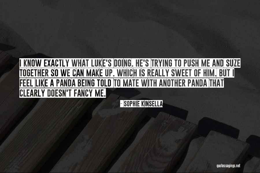 Positive Tiresome Quotes By Sophie Kinsella Positive Tiresome Quotes By Sophie Kinsella