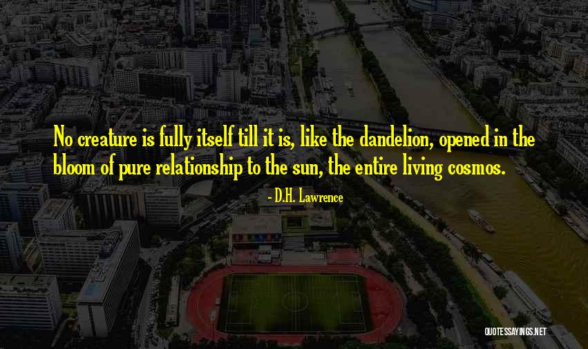 Positivere Quotes By D.H. Lawrence Positivere Quotes By D.H. Lawrence