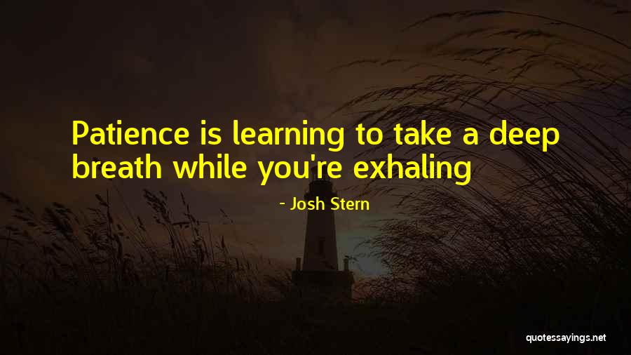 Positivity And Patience Quotes By Josh Stern