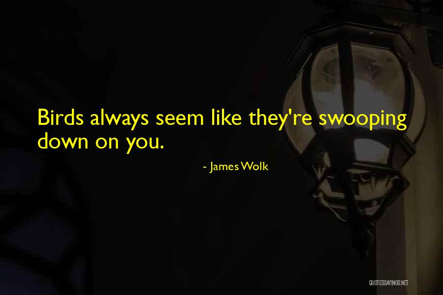 Posner Schlossman Quotes By James Wolk Posner Schlossman Quotes By James Wolk