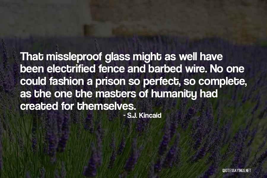Posole Quotes By S.J. Kincaid Posole Quotes By S.J. Kincaid