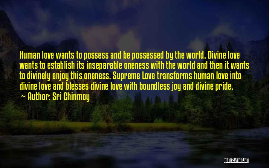 Possessed Love Quotes By Sri Chinmoy