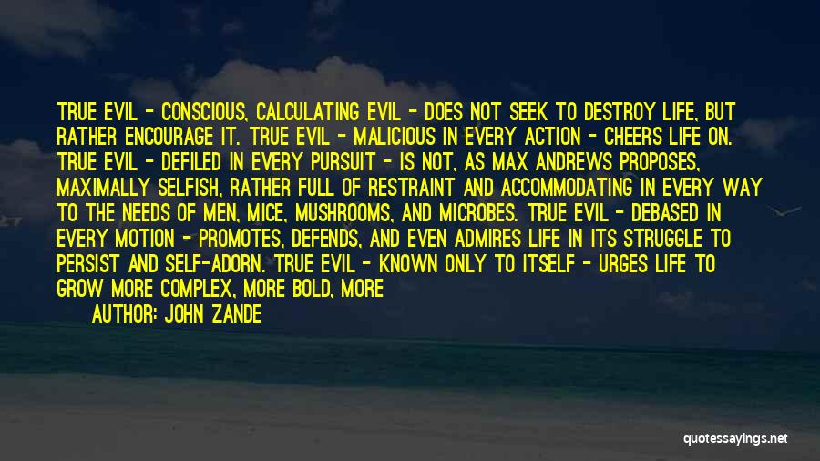 Possibility Of Evil Quotes By John Zande