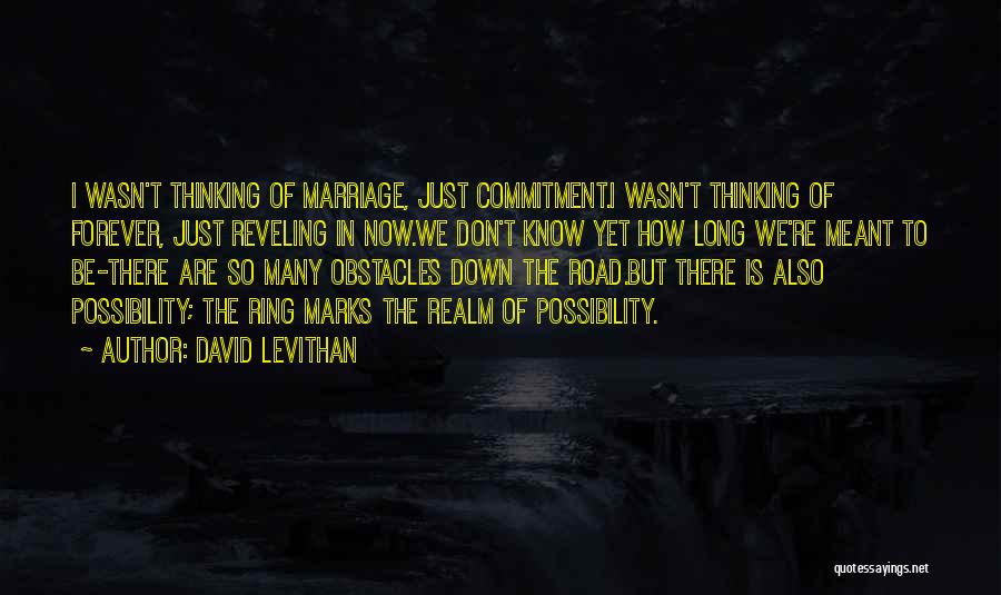 Possibility Thinking Quotes By David Levithan