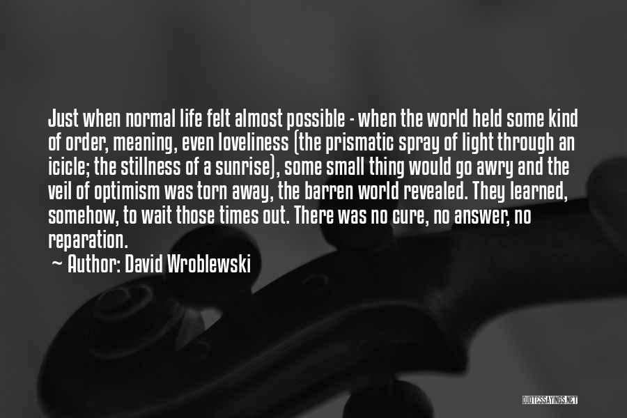 Possible Death Quotes By David Wroblewski