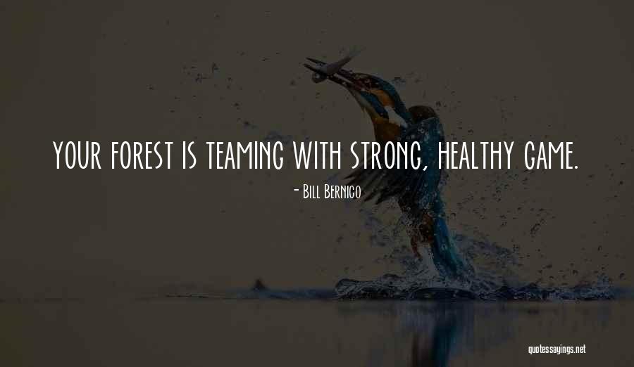 Possuidor Sinonimos Quotes By Bill Bernico Possuidor Sinonimos Quotes By Bill Bernico
