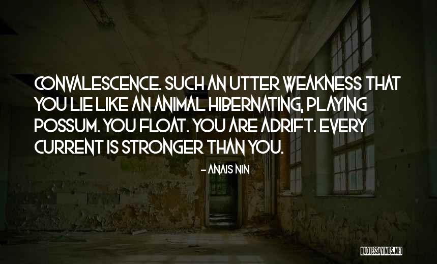 Possum Animal Quotes By Anais Nin Possum Animal Quotes By Anais Nin