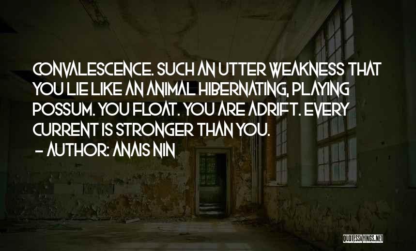 Possum Quotes By Anais Nin