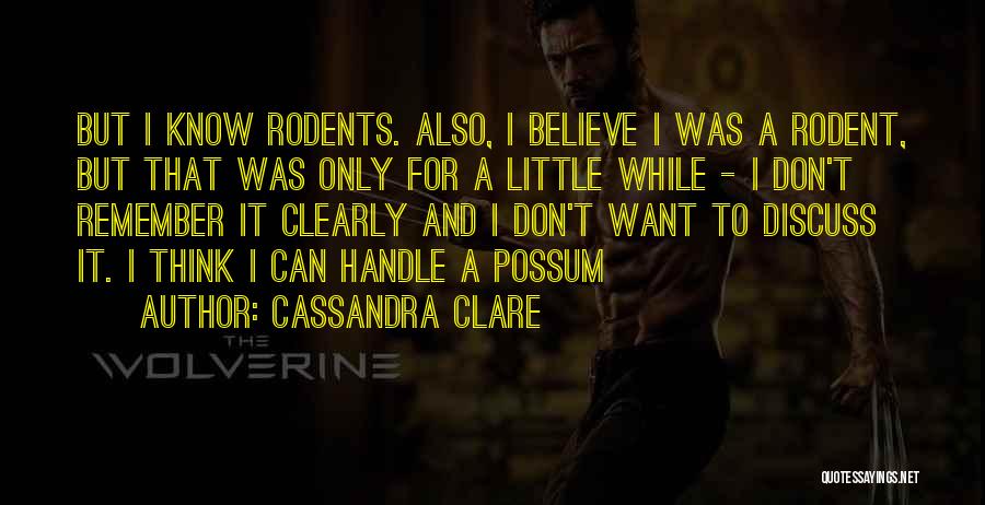 Possum Quotes By Cassandra Clare