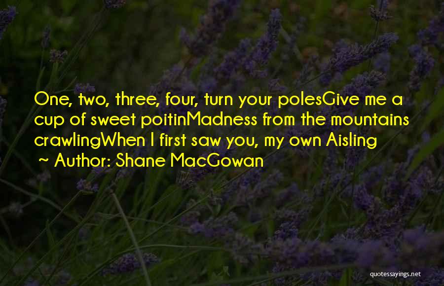 Possum Stew Quotes By Shane MacGowan
