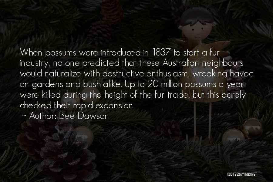 Possums Quotes By Bee Dawson