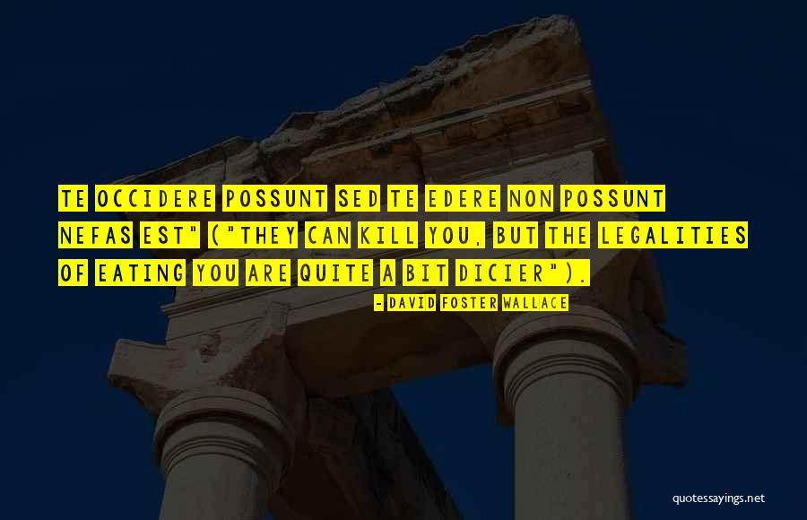 Possunt Quotes By David Foster Wallace Possunt Quotes By David Foster Wallace