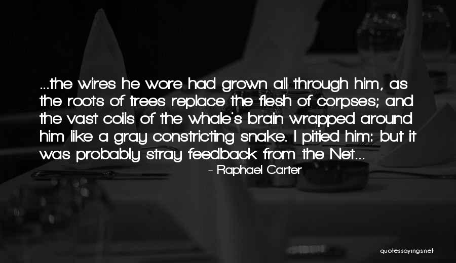 Postcyberpunk Quotes By Raphael Carter Postcyberpunk Quotes By Raphael Carter