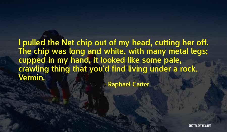 Postcyberpunk Quotes By Raphael Carter Postcyberpunk Quotes By Raphael Carter