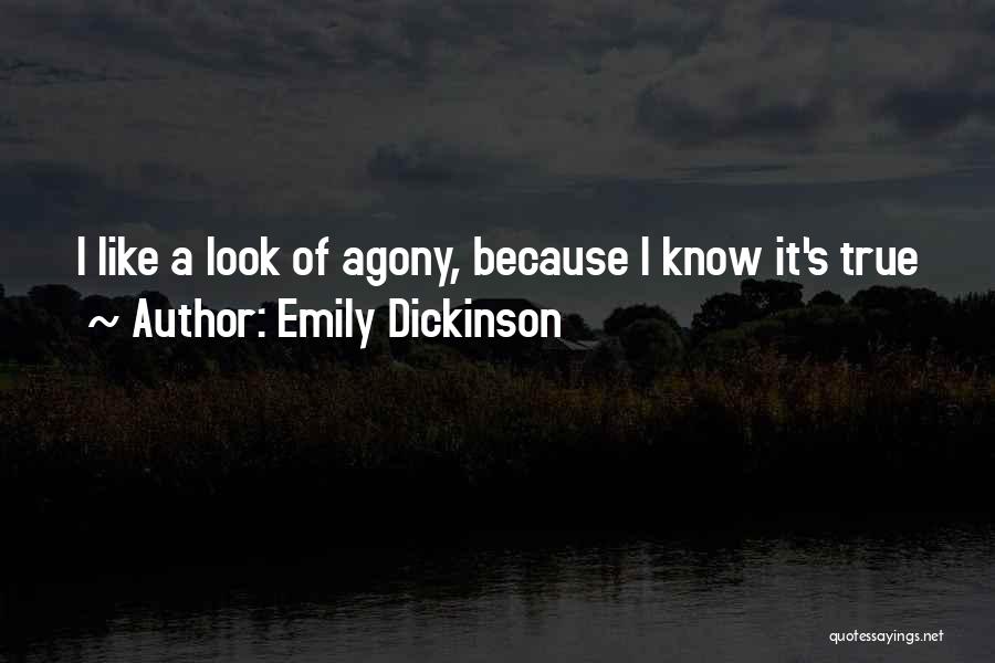 Posthumous Quotes By Emily Dickinson