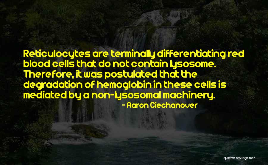 Postulated Quotes By Aaron Ciechanover Postulated Quotes By Aaron Ciechanover