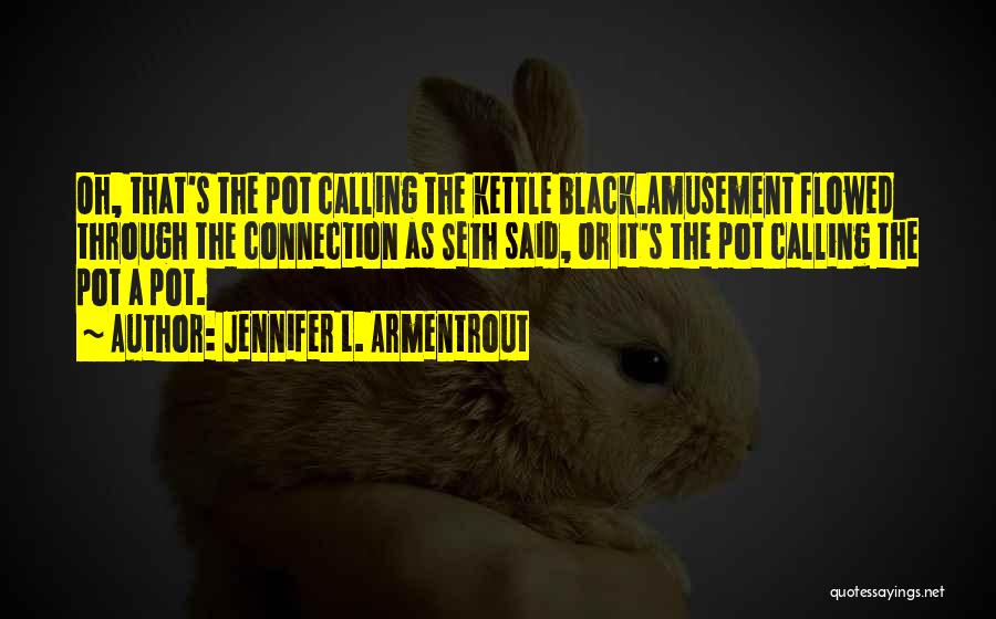 Pot Kettle Black Quotes By Jennifer L. Armentrout