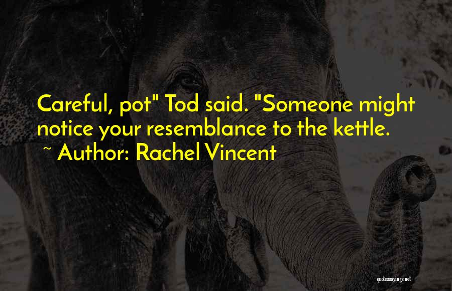 Pot Kettle Quotes By Rachel Vincent