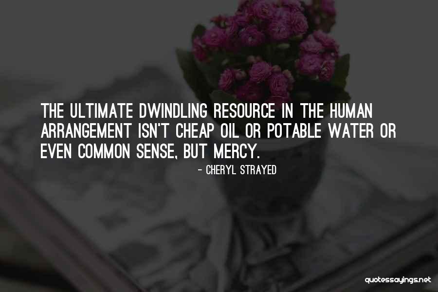 Potable Water Quotes By Cheryl Strayed