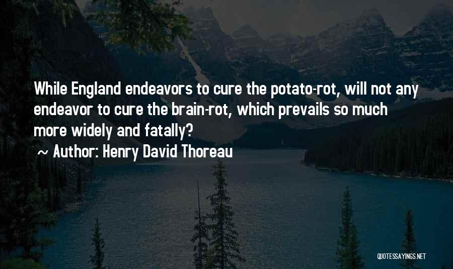 Potato Quotes By Henry David Thoreau