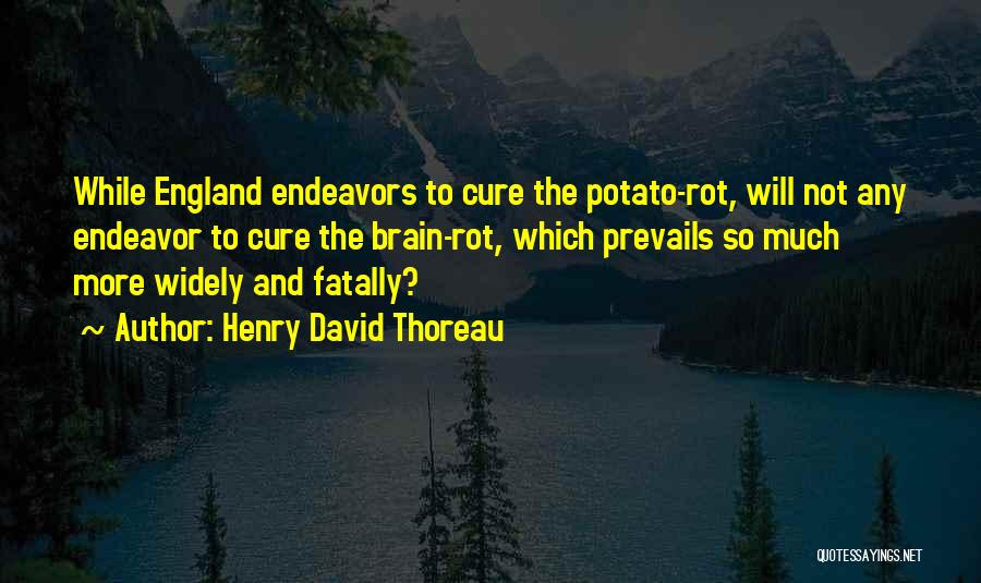 Potatoes Quotes By Henry David Thoreau