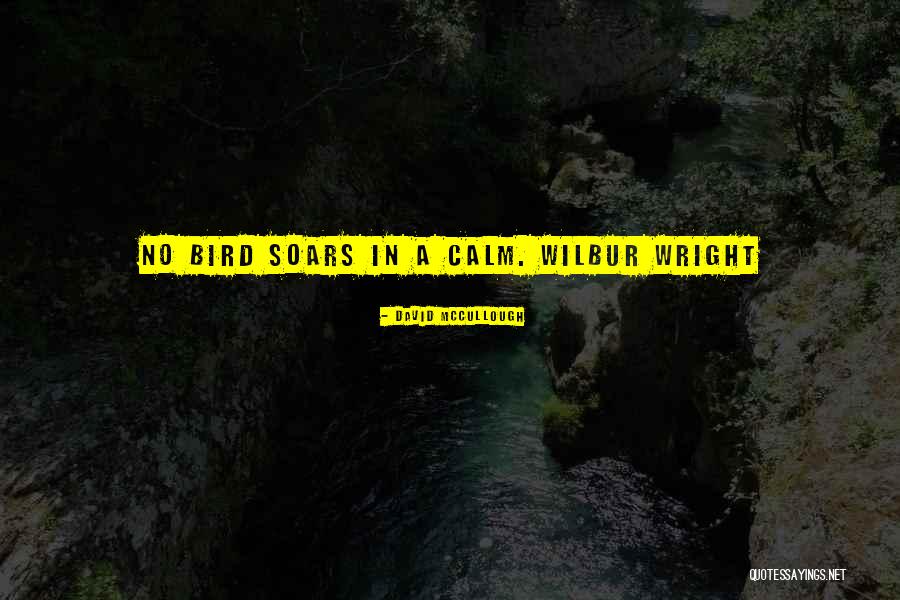 Poteca Cake Quotes By David McCullough Poteca Cake Quotes By David McCullough