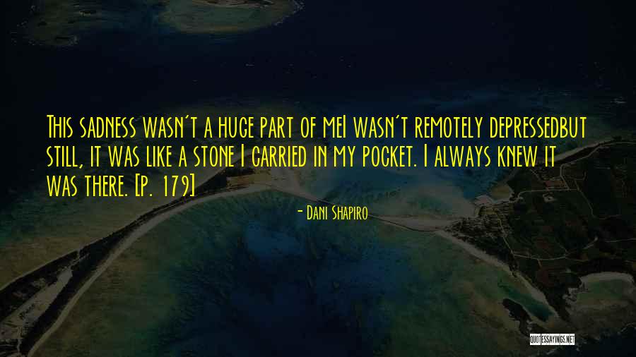 Potencian Velok Quotes By Dani Shapiro Potencian Velok Quotes By Dani Shapiro