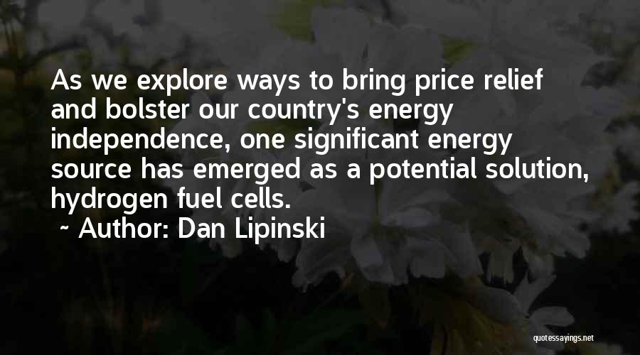 Potential Energy Quotes By Dan Lipinski