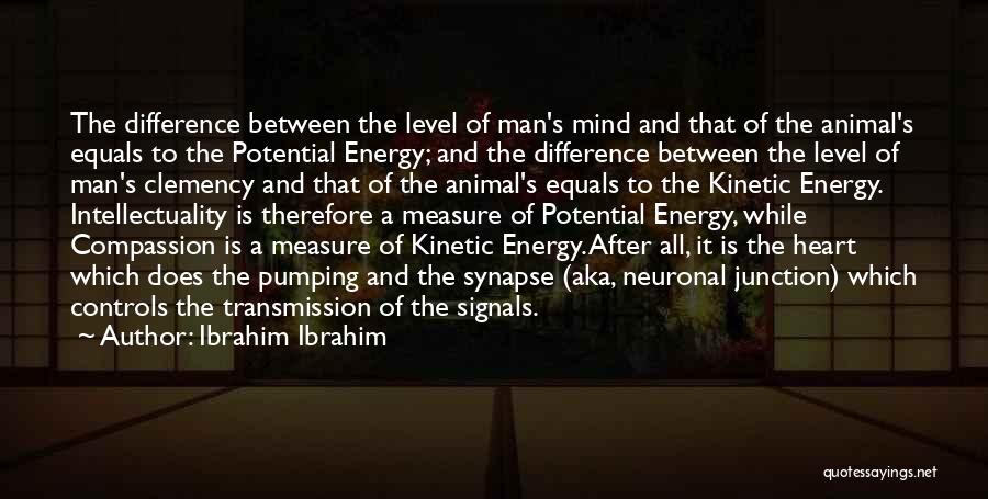 Potential Energy Quotes By Ibrahim Ibrahim