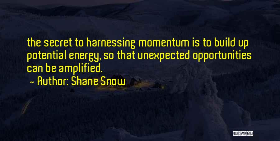 Potential Energy Quotes By Shane Snow