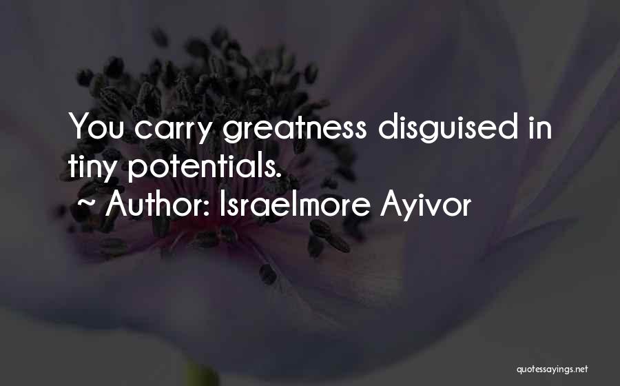 Potential For Greatness Quotes By Israelmore Ayivor