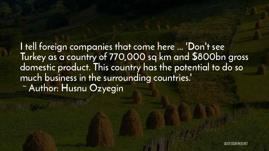 Potential In Business Quotes By Husnu Ozyegin