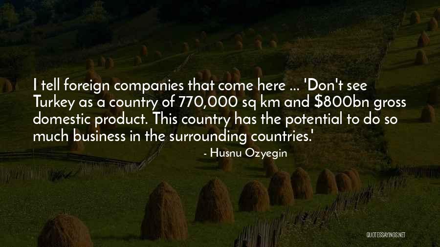 Potential In Business Quotes By Husnu Ozyegin